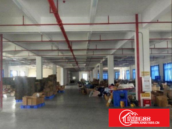 镇隆镇红本独院厂房5500平米出租带地坪漆精装修