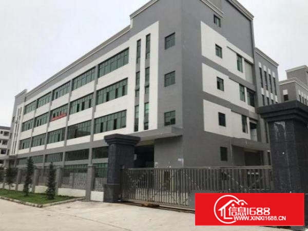 石排原房东好厂房无任何公摊