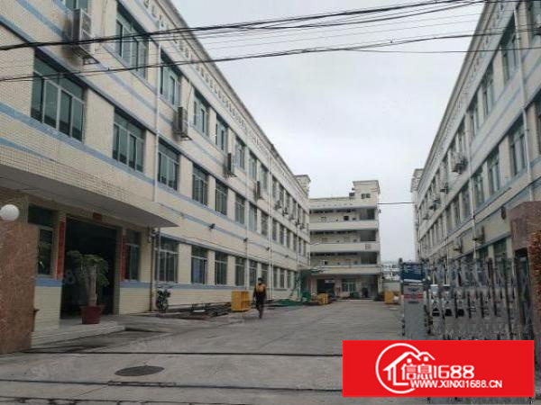 龙岗南联5000平独院厂房出租