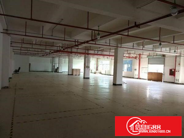 坂田上雪科技园精装厂房仓库2000平米一二楼可分租
