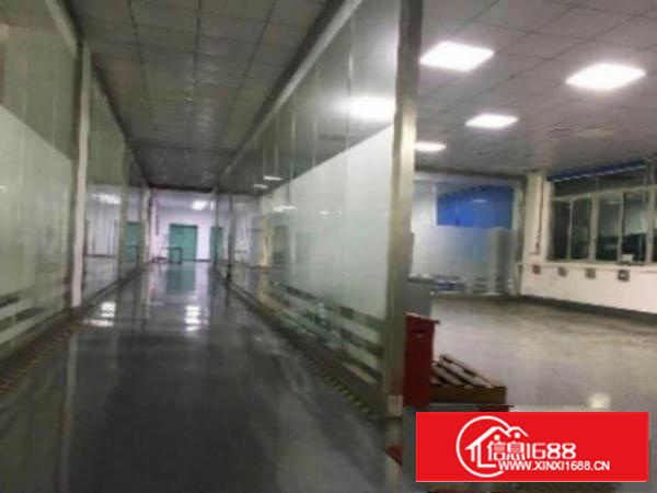 万江简沙洲标准厂房楼上三楼2300平方带消防喷淋出租带无尘车