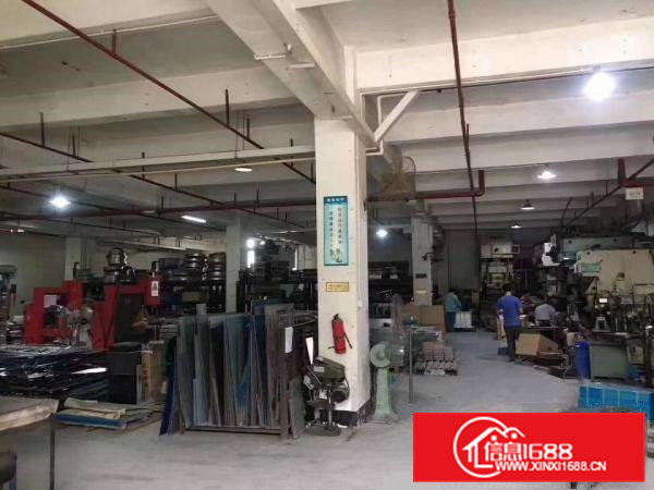 清溪三中新出一楼标准厂房400平，实际面积出租，有现成办公室