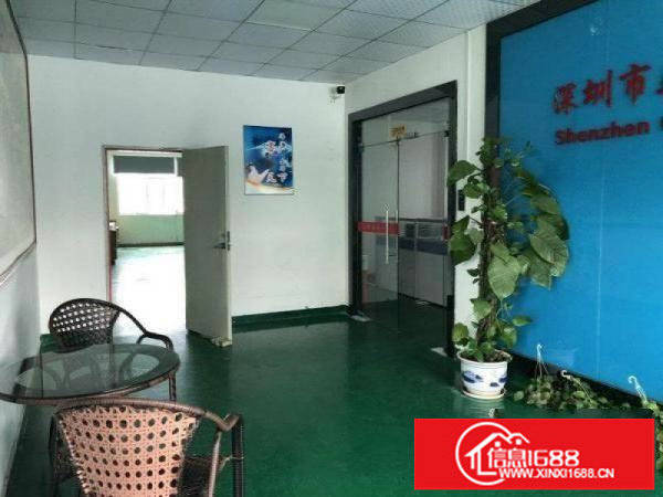 碧岭横坪公路边新出原楼上整层1100平方带豪华装修办公室出租