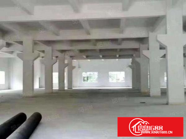 标准经典小独院厂房出租2200平米6.5米高带牛角在清溪