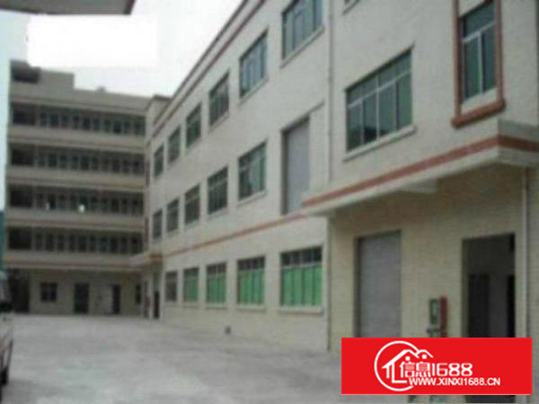 万江新谷涌标准一楼1000平方招租(有宿舍)