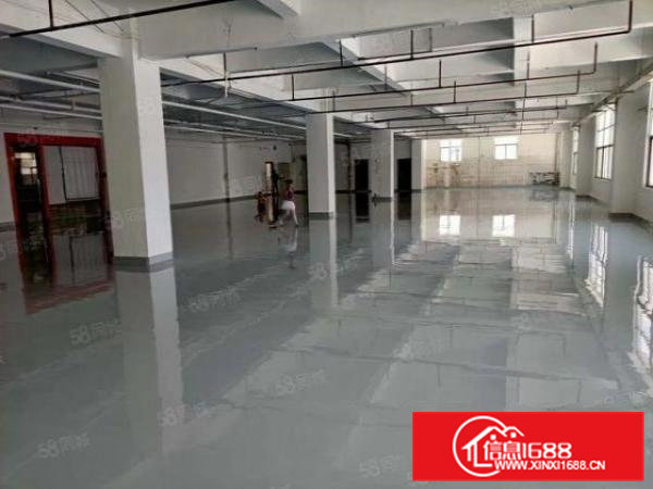 大朗镇工业聚集区新出原房东标准独院靓厂房总面积13000平