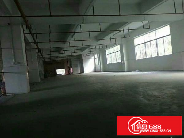正规标准厂房，园区空间大，
