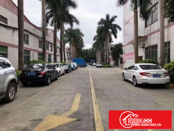 出租龙岗区南联原房东二楼200平方现成办公室带装修