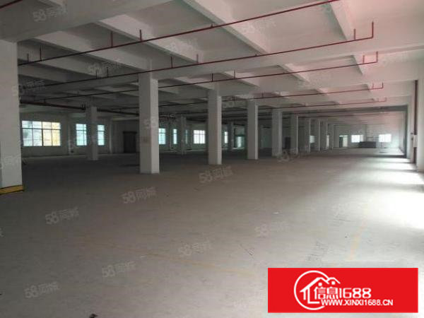 寮步工业聚集区新厂房24000平方招租，全新厂房，4台3吨梯