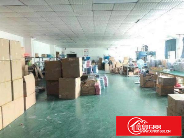 企石霞朗村豪华装修厂房850平方带前台办公出租