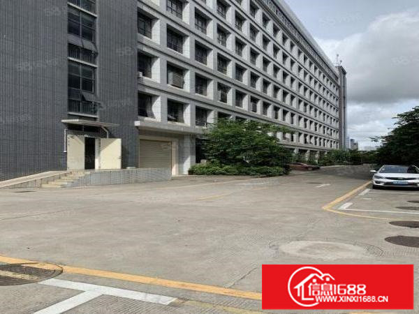 原房东（红本整栋19200平方）花园式厂房房东直租可分租