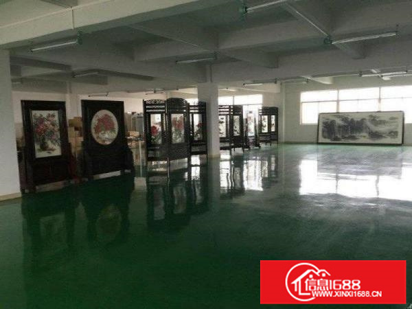 容桂标准700方，带地坪漆办公，形象漂亮，价格便宜