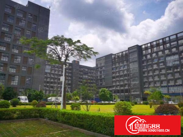 布吉李朗数字产业园1680平米办公电商厂房仓库招租