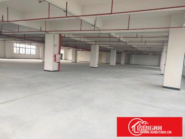 东坑镇凤大空出2000平方厂房出租