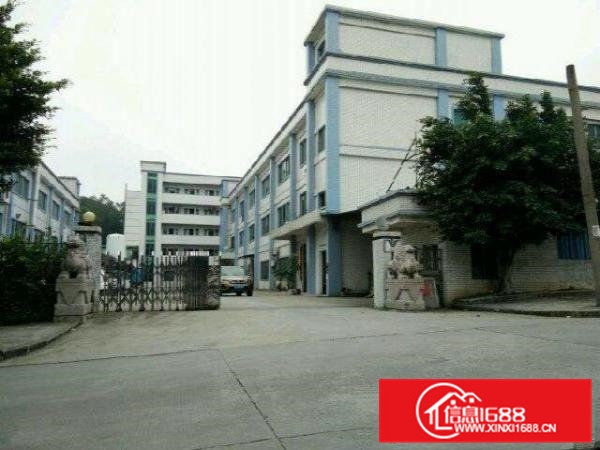 横沥新出独门独院标准厂房厂房6000平米