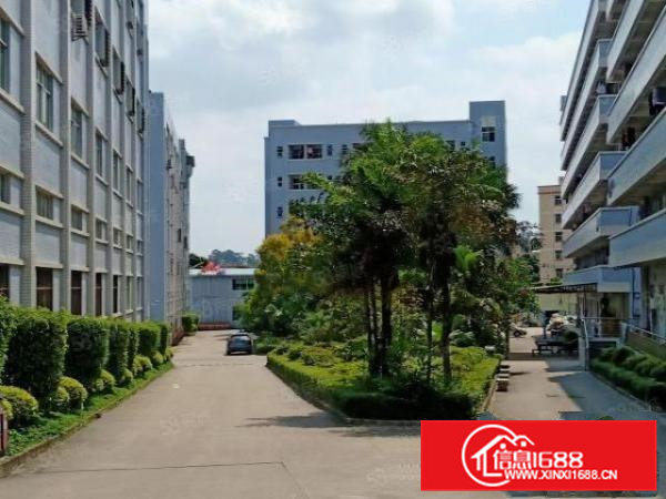 金凤凰新出1200平米电梯厂房带现成办公室装修业主直接出租