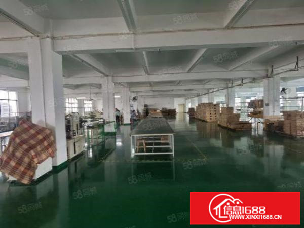 龙岗布吉新出原房东1000平标准厂房出租国道边上带卸货平台