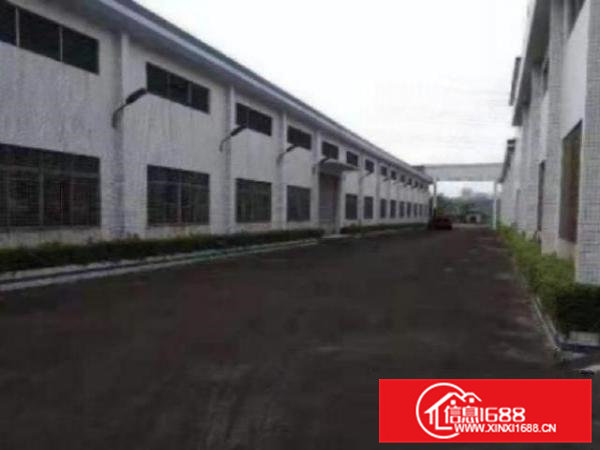 高埗独门独院单一层钢结构厂房2800平方出租