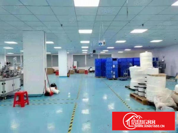 长安涌头楼上1300平厂房出租水电齐全带装修办公室拎包入驻