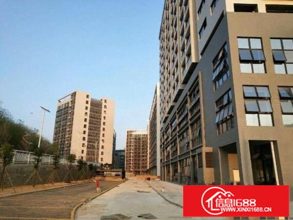 坪地盐龙大道旁高新工业区厂房350000平米