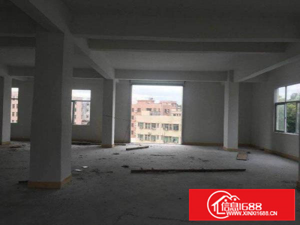 新安原房东零公摊新厂房楼上400平带电梯厂房招租