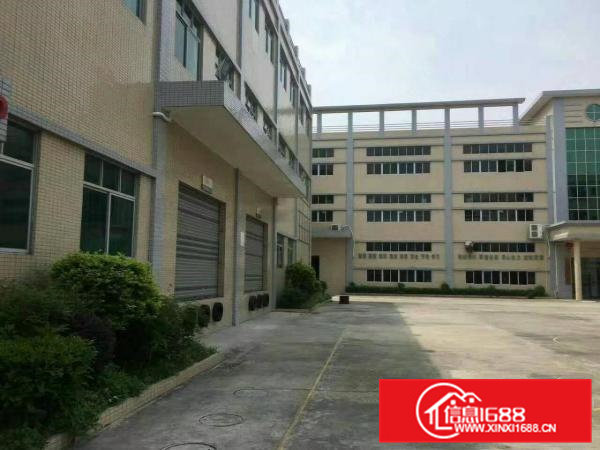 原房东独门独院标准厂房出租