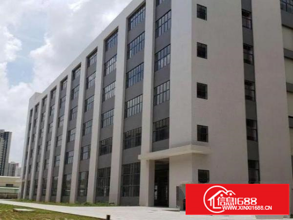 东莞市石碣梁家村30000平方全新高新园区厂房便宜招租