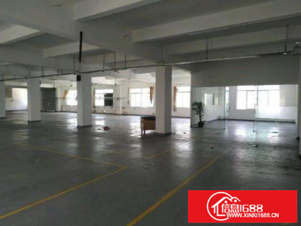 龙岗南联厂房出租500平有装修办公室地坪漆