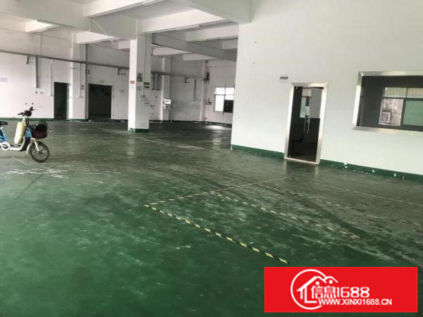 横岗横坪公路新出原房东一楼900平出租