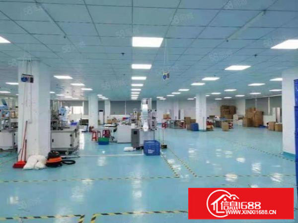 凤岗雁田无尘车间1200平米出租，无需装让费，照片实拍