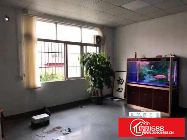 龙岗区龙东新出一楼800平方6米高厂房现招租