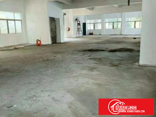 近松山湖独门独院厂房