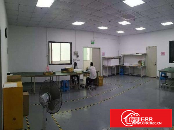 光明公明（上村楼上750平500平400平带装修.