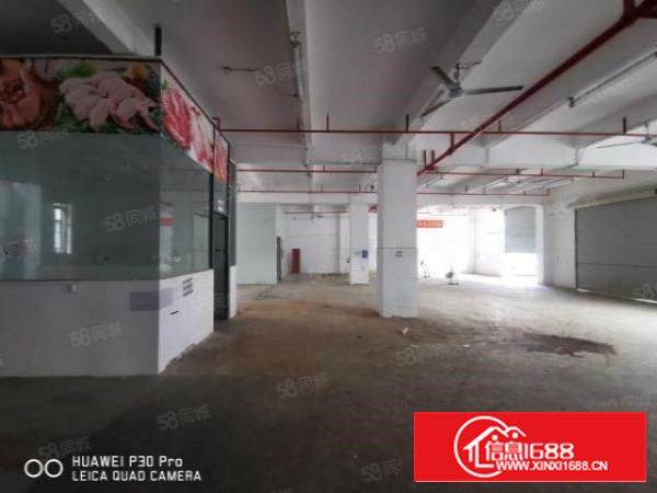 沙井新桥107国道黄埔上星德普电子城1楼600平水电办公室齐