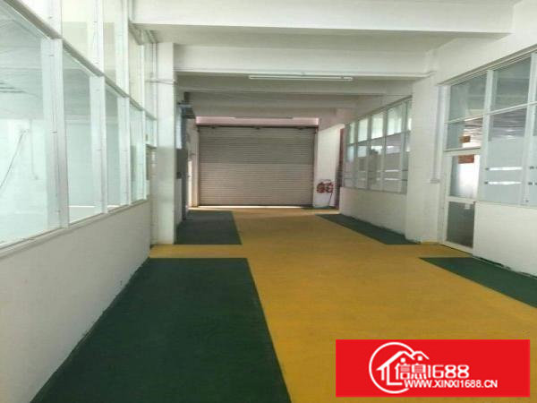 万骏隆旁800平方精装修3楼带电梯中介勿扰