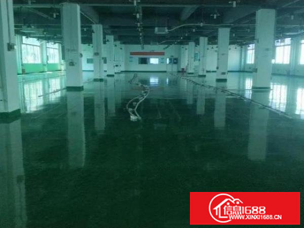 大浪新出2800平方现成无尘车间，水电齐全，拎包入住！