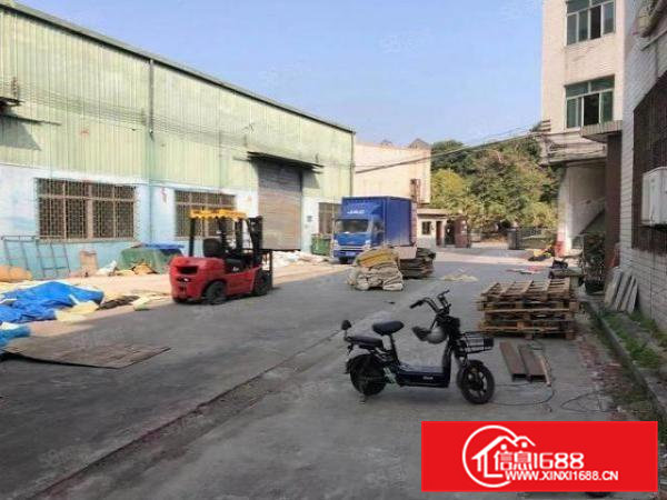 大岭山颜屋2300平独栋单一层钢构厂房仓库出租,滴水8.5米