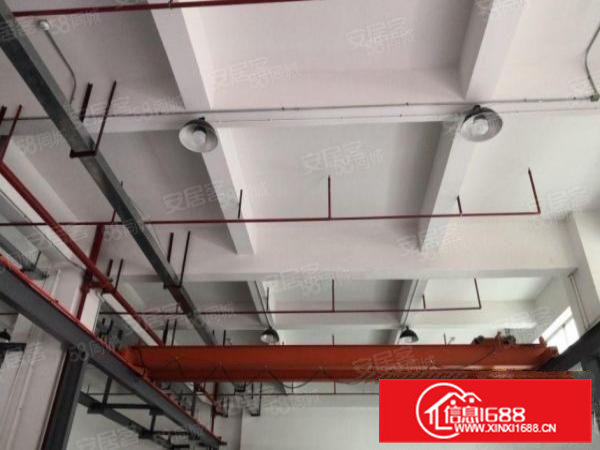 一手房东独院厂房整租出租，本人还有三个虎门本地房东厂房资源