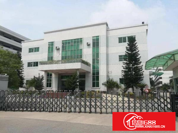 高埗镇形象美独院标准厂房带红本20000平