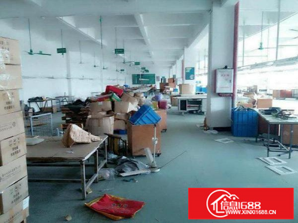 仲恺TCL一手房东楼上一千平方厂房出！