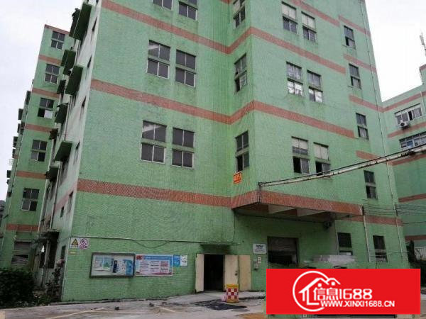 布吉上李朗工业园物业直租整层2800平可分租无行业限制