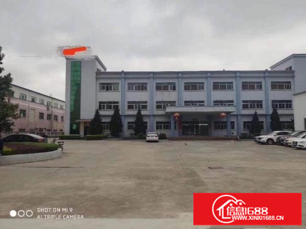 清溪三中原房东二楼2000平方带装修急租