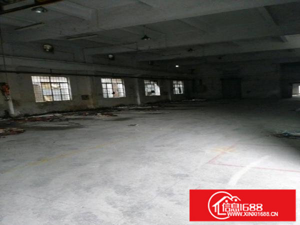 出租二手厂房内高五米