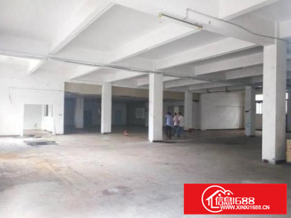 丹灶下安原房东一楼分租1350平