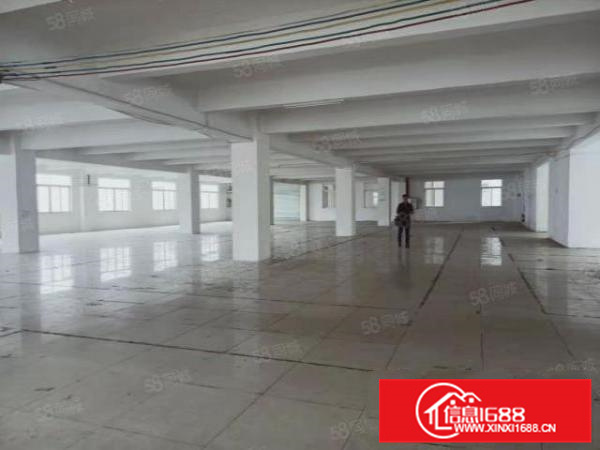 大路边勒流园区5000方带办公厂房，形象漂亮