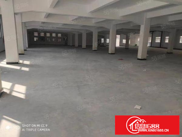 大朗全新厂房出租园区30000平方工业园2000起分租