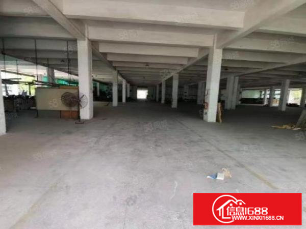 桥头新出原房东独院12000平方，实际面积，超大空地