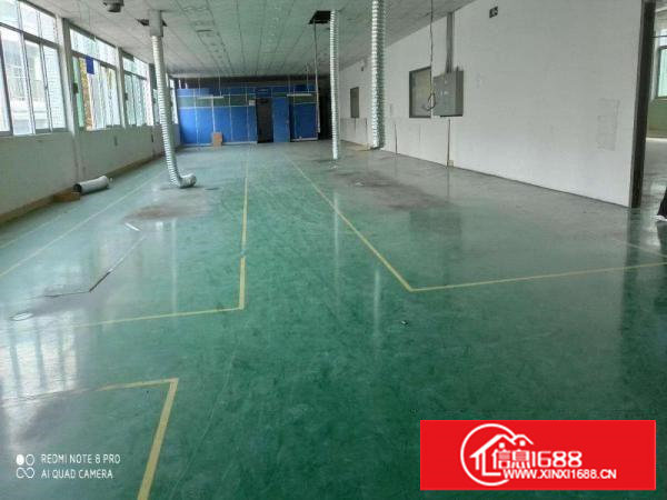 。。塘厦蛟乙塘1200平方米标准。。楼上厂房。。带吊顶。。。