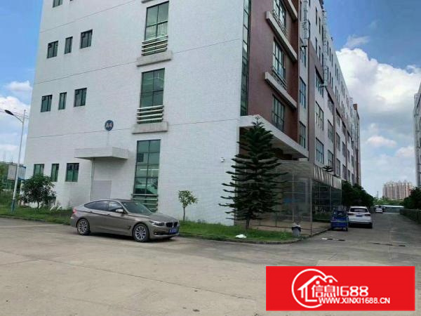 陈江工业园分租一楼1500和3000平方出租