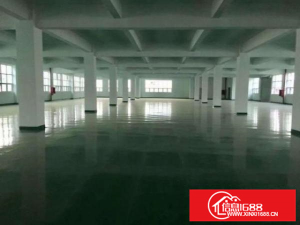 龙江西溪原房东直租1楼1250平厂房